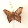 Lille brun dekorativ sommerfugl