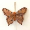 Stor brun sommerfugl