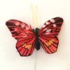 Dekorativ rød orange sommerfugl