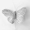 Stor sølvstribet glimmer sommerfugl
