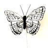 Sort-hvid dekorativ sommerfugl