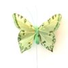 Grøn dekorativ sommerfugl