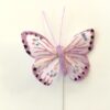 Lille lys lilla sommerfugl 