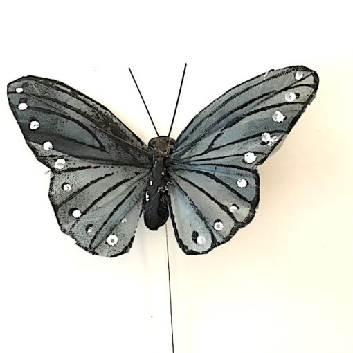 Grå blå sommerfugl