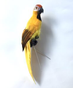 Papegøje i gul farve