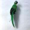 Papegøje i grøn farve