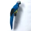 Papegøje i blå farve
