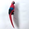 Papegøje i rød farve