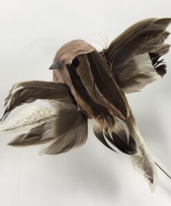 Stribet brun flyvende fugl