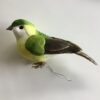 Dekorativ grøn fugl
