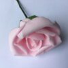 Rosa dekorativ skumrose