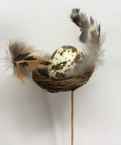 Lille fuglerede med æg