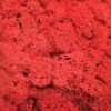 Rød kasse Islandsk mos