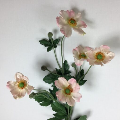 Rosa Anemone flot høj gren