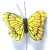 Gul sommerfugl med kontrastfarver