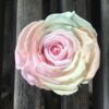 Præserveret pastelfarvet rose