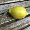 Lime i mini størrelse