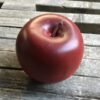 Rødt kunstigt æble