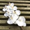 Høj kunstig hvid orkide