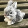 Lille kanin i grå