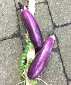 Kunstig aubergine ranke