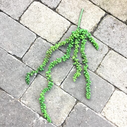 Dekorativ buket perler på snor 