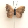 Dekorativ lille brun sommerfugl