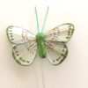 Grøn dekorativ fin sommerfugl