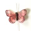 Lille gammelrosa dekorativ sommerfugl