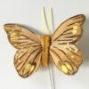 Brun dekorativ fin sommerfugl