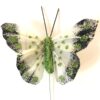Lille lysegrøn sommerfugl med glimmerkant