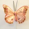 Gammelrosa smuk sommerfugl med glimmerkant