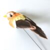 Lille orange mini fugl