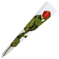 Cellofanpose til en rose