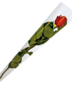 Cellofanpose til en rose