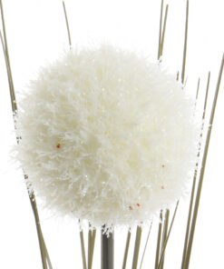 Allium gren hvid frostet