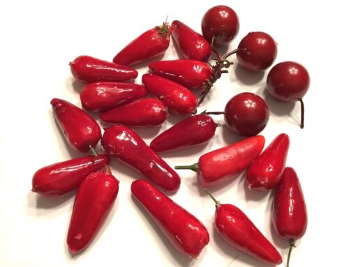 Kunstige små røde chili
