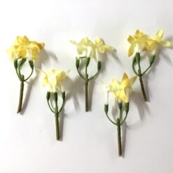 Små gule blomster grene