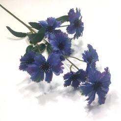 Blå naturtro kornblomst gren